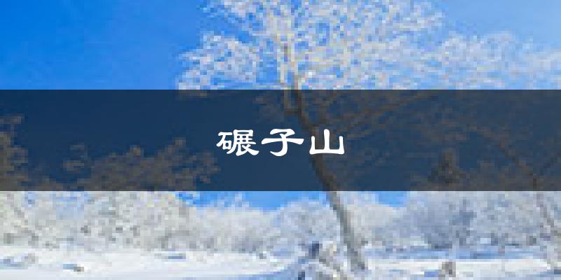 齐齐哈尔碾子山天气预报未来一周