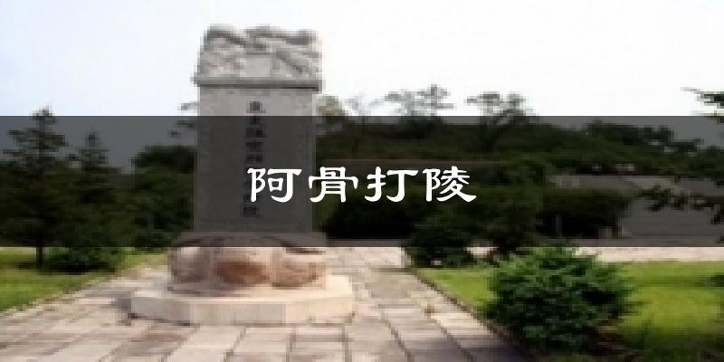 阿骨打陵天气预报十五天