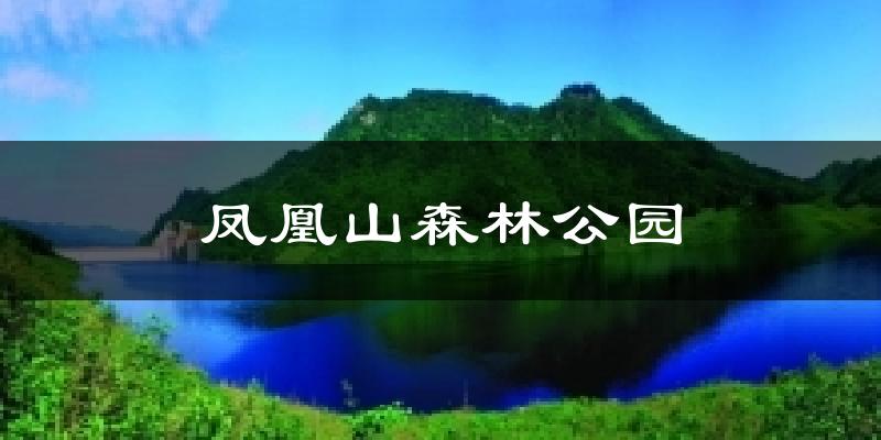 凤凰山森林公园今日天气