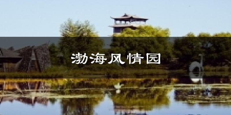 渤海风情园天气预报十五天