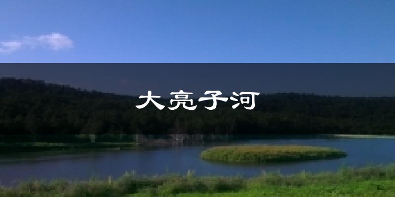 大亮子河今日天气