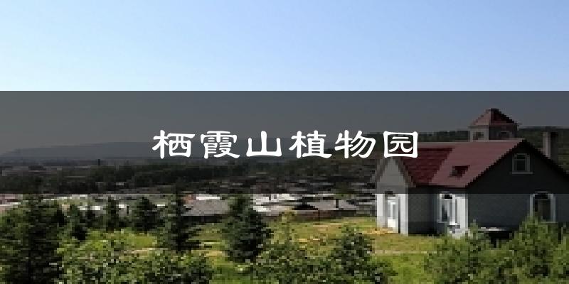 塔河栖霞山植物园天气预报未来一周