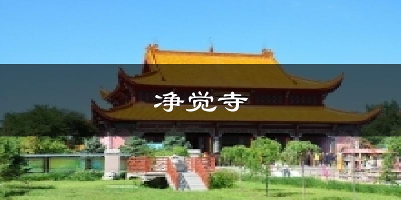 大庆净觉寺天气预报未来一周