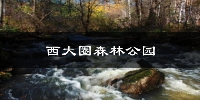 西大圈森林公园天气预报十五天