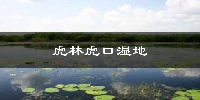 鸡西虎林虎口湿地天气预报未来一周