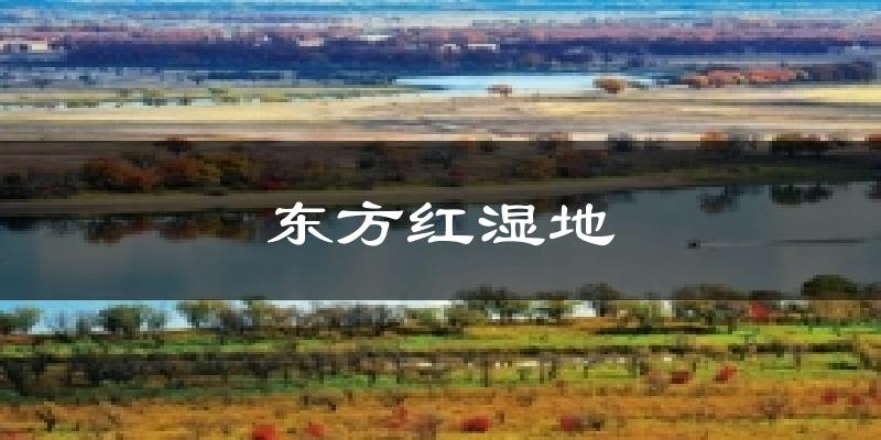 虎林东方红湿地天气预报未来一周