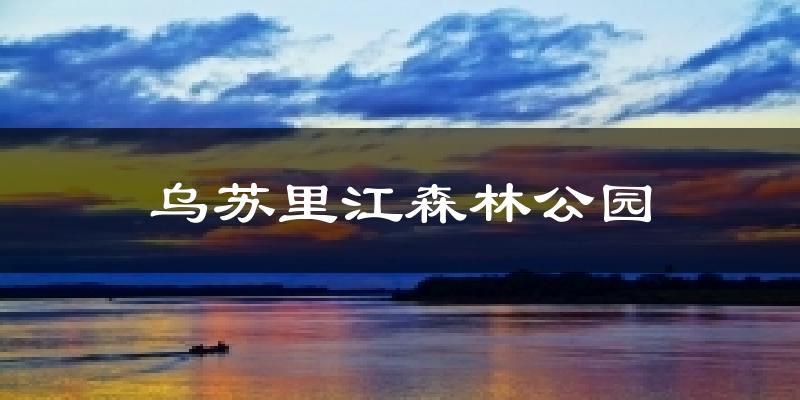 乌苏里江森林公园气温