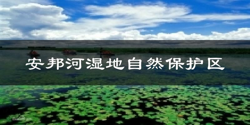 集贤安邦河湿地自然保护区天气预报未来一周