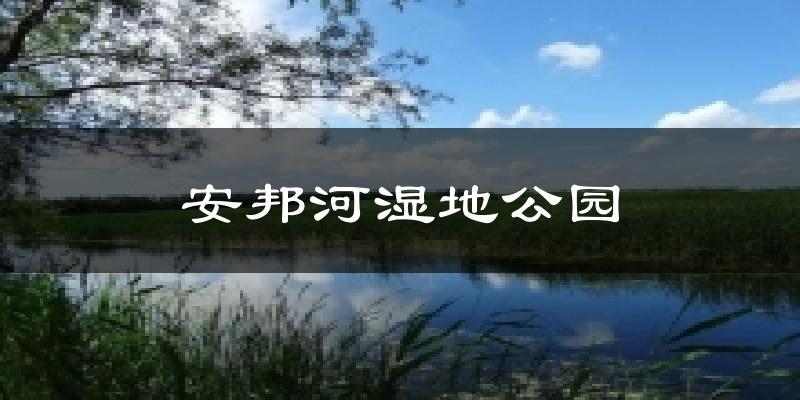 安邦河湿地公园气温