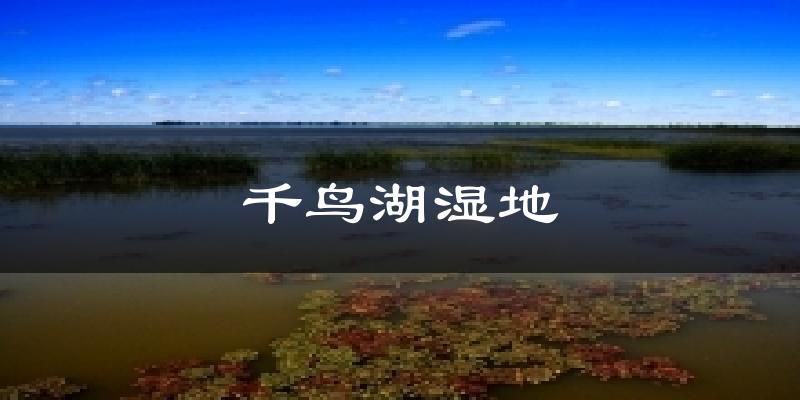 千鸟湖湿地气温